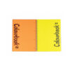 quaderno-spiralato-a4-maxi-double-giallo-arancione