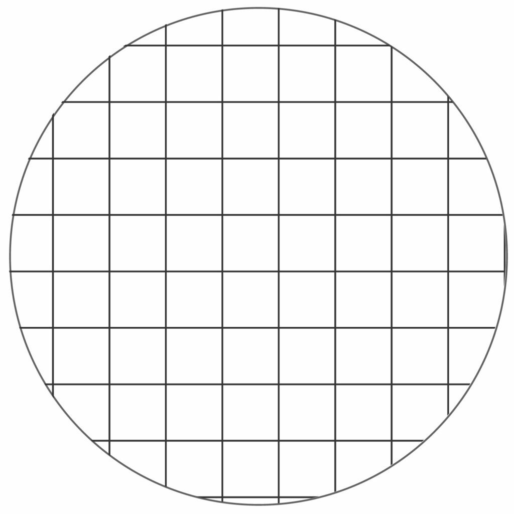 Guida ai quaderni a quadretti e a righe: quale scegliere in base alla classe