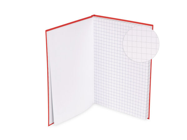Quaderno a quadretti 1 cm orsetto: Ideale per la prima elementare, 100  pagine grande formato a4 lato 10mm
