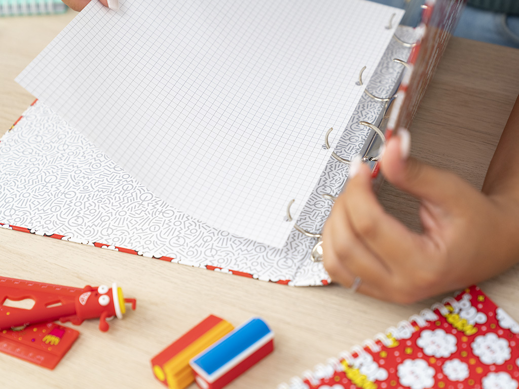 raccoglietore ad anelli