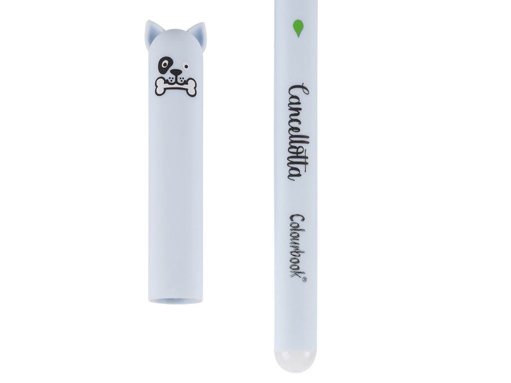 dettaglio cancellotta inchiostro verde azzurra