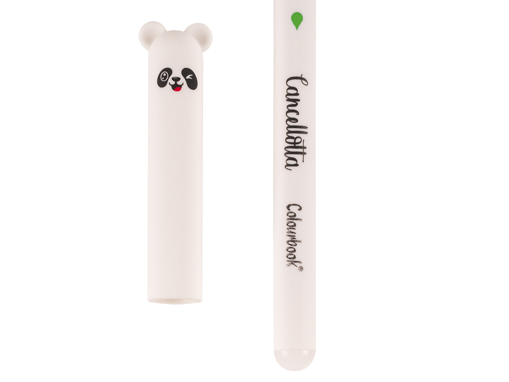 dettaglio cancellotta inchiostro verde bianca