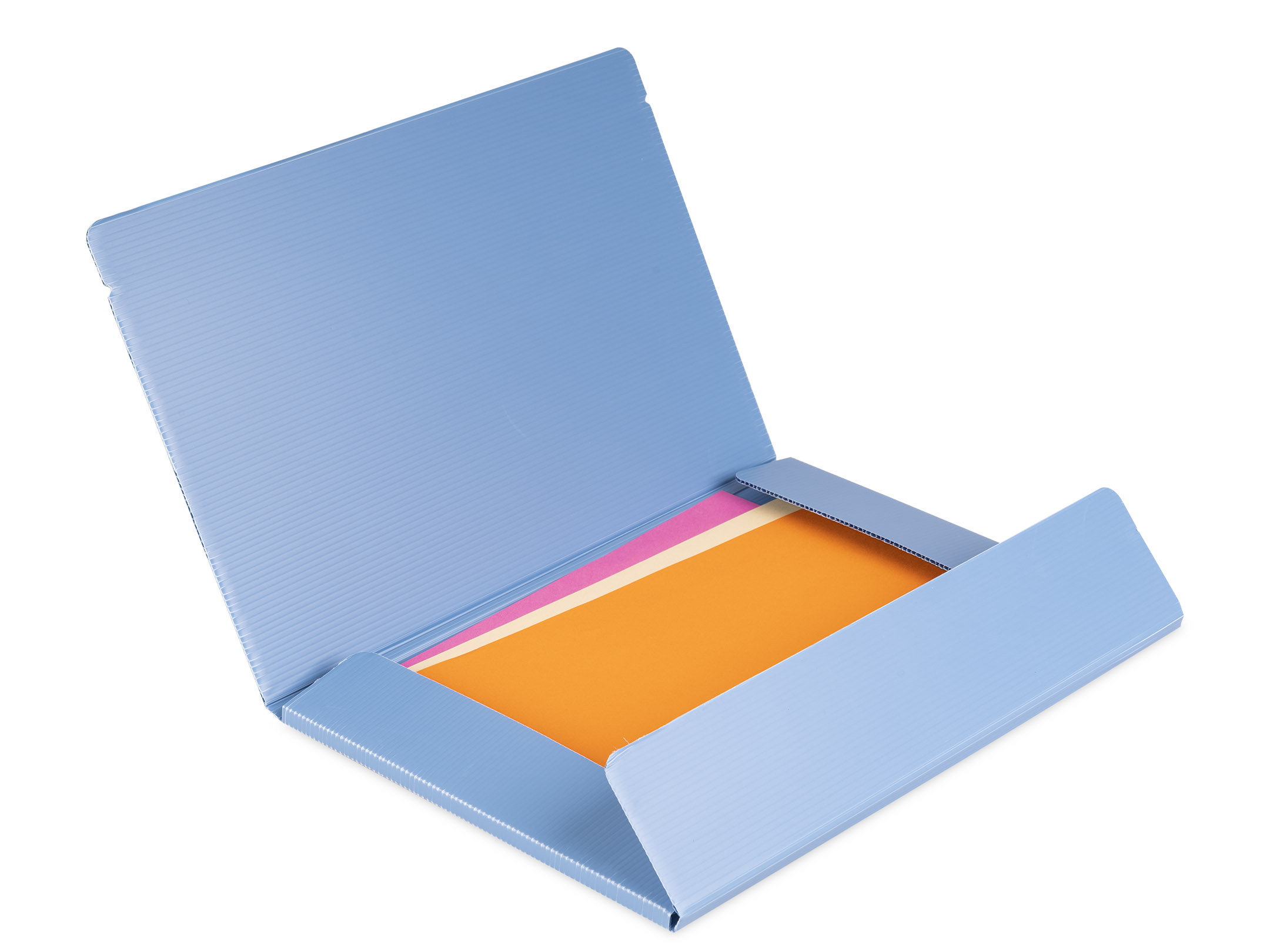 Apertura Cartellina dorso 1 cm Wild & Cute azzurro