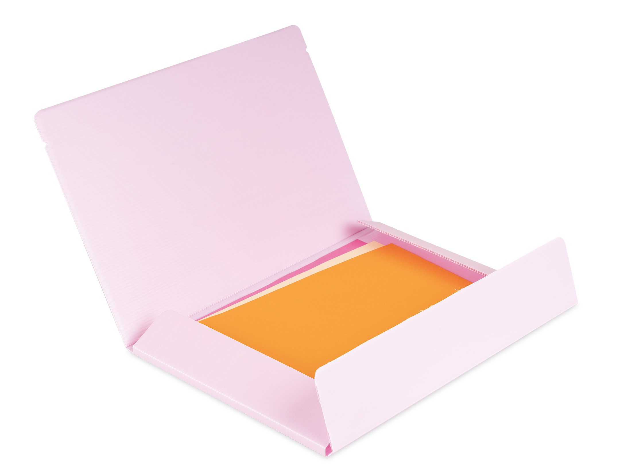 Apertura Cartellina dorso 1 cm Wild & Cute rosa