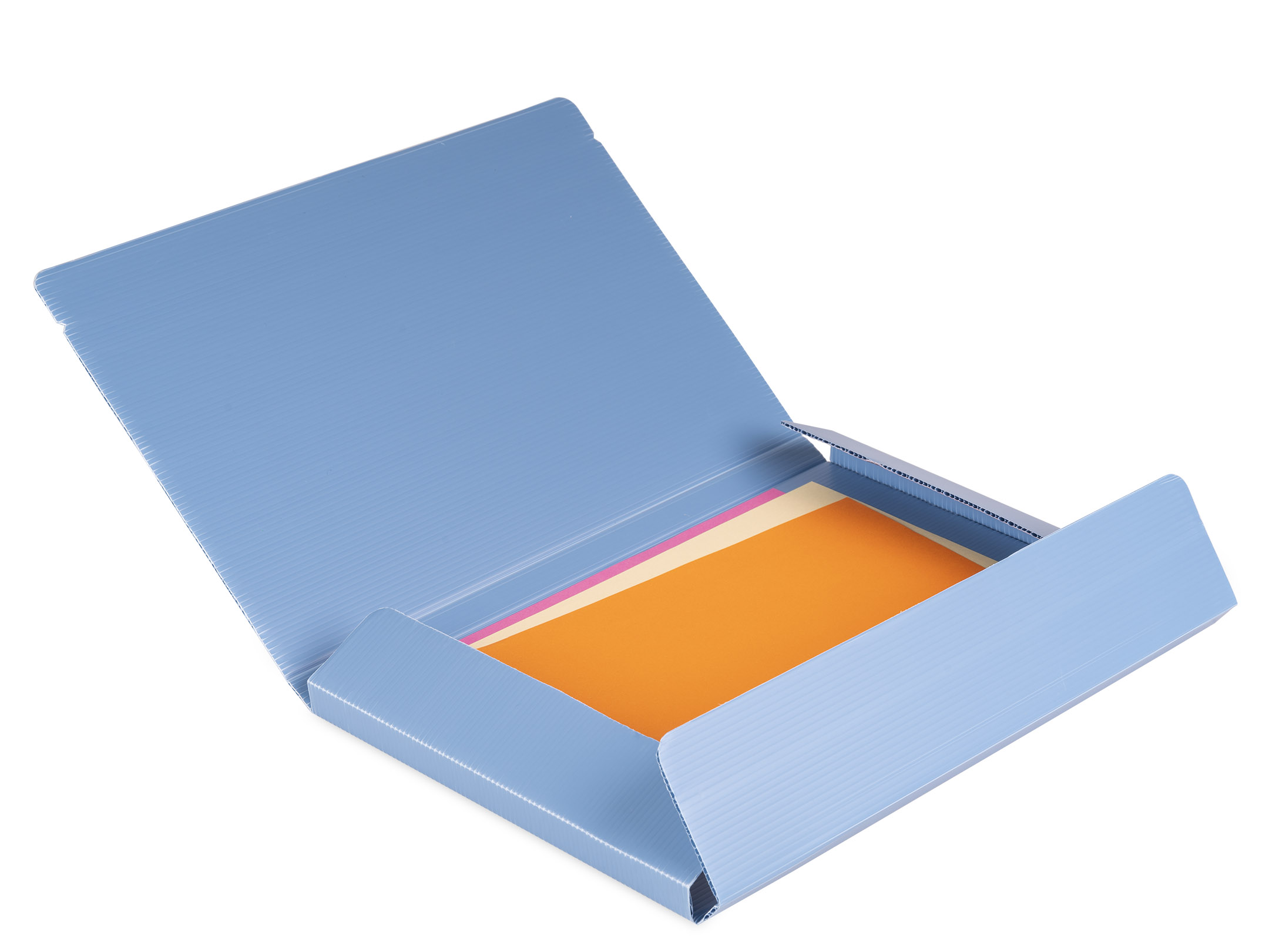 Apertura cartellina dorso 2 wild & Cute avion blue