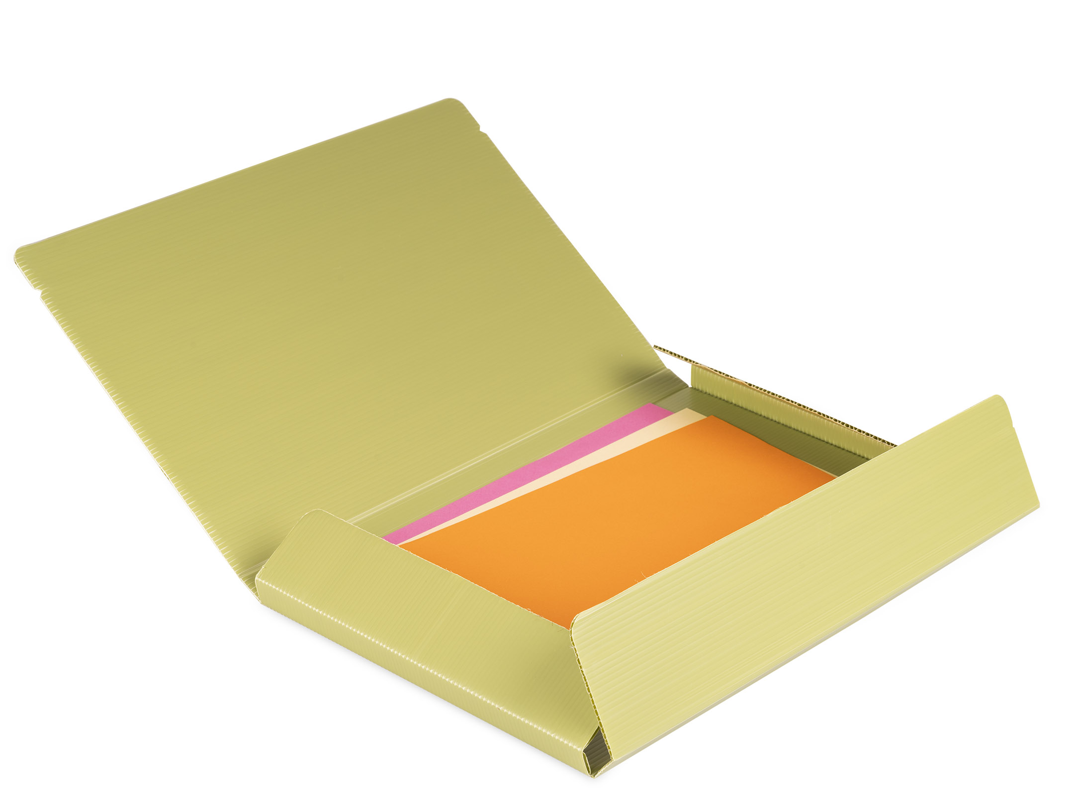 Apertura cartellina dorso 2 wild & Cute verde militare