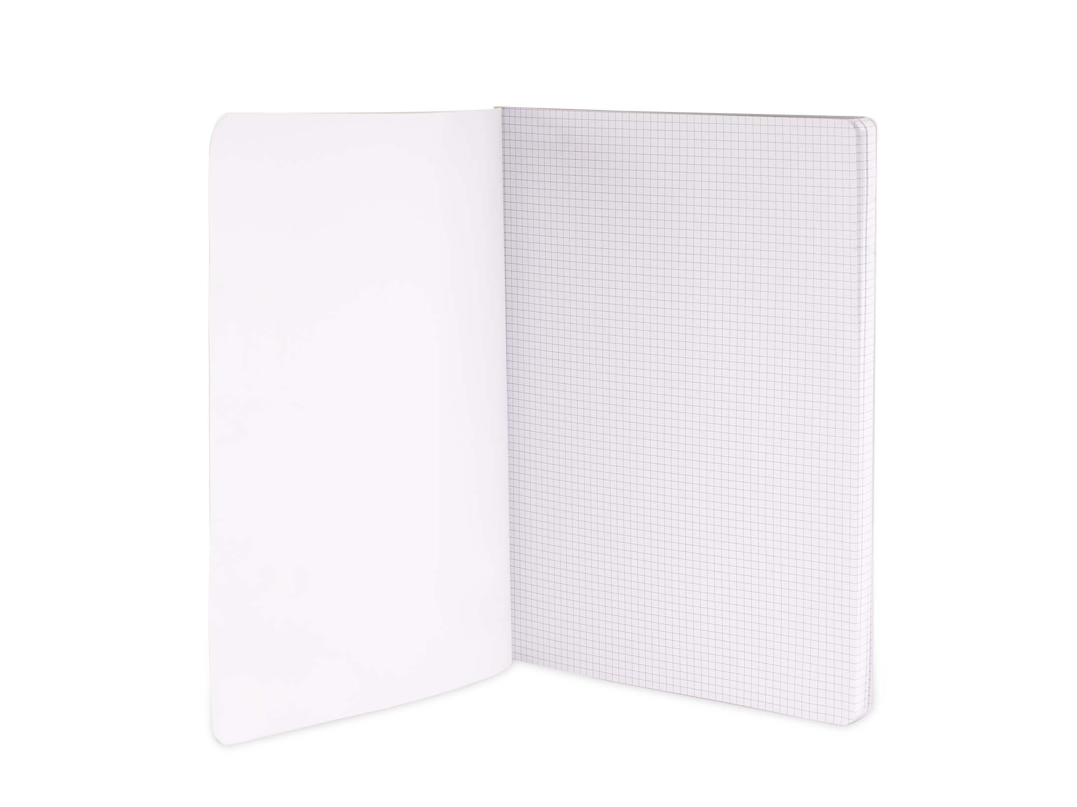 dettaglio rigatura brossurati 4m