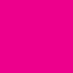 Joy Fuxia
