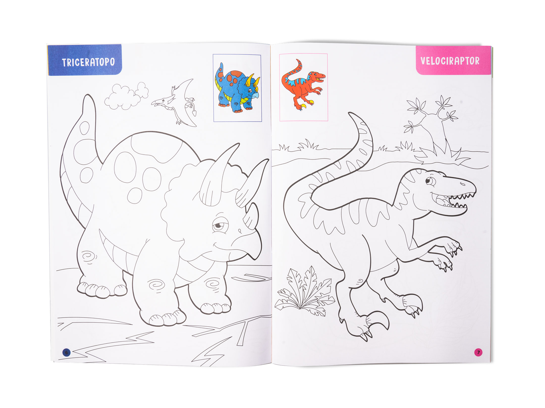 Dettaglio Libro Dinosauri