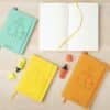 Work Journal Pinguino ambientata