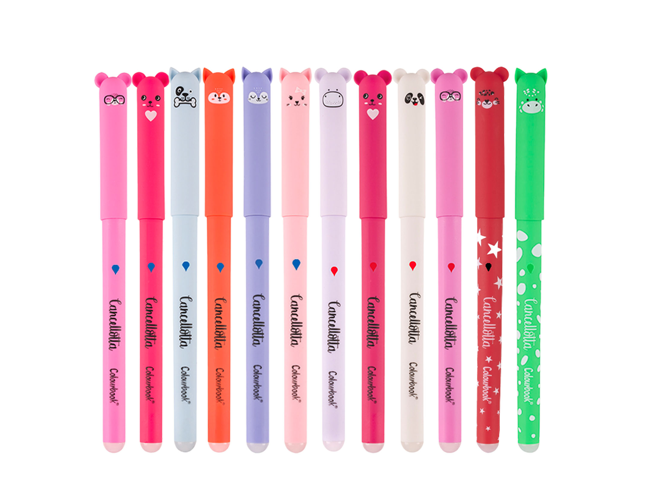 Dettaglio set 10 penne Cancellotte +2 omaggio - 4 inchiostri