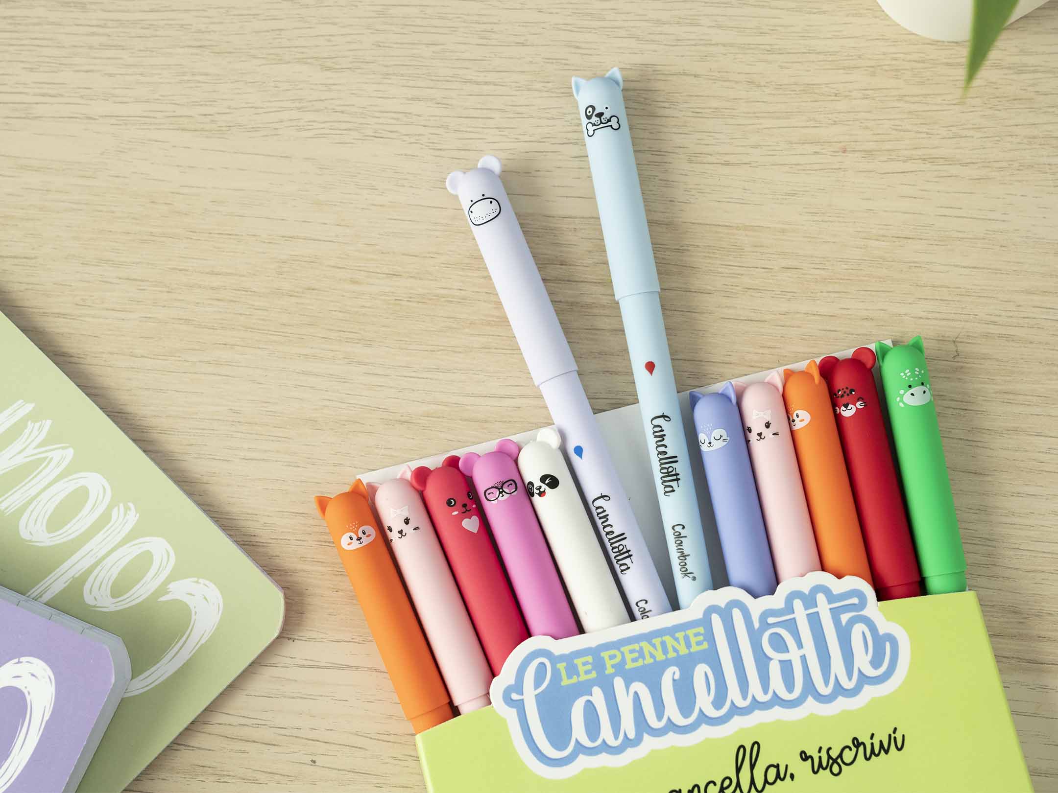 Dettaglio set 10 penne Cancellotte +2 in omaggio inchiostro blu e rosso