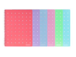 Toyseum Set Di 12 Mini Quaderni Arcobaleno Per Ragazze, Piccoli Quaderni Tascabili A7 Per Bambini, Simpatici Regali Di Cancelleria Per Ragazze Arcobaleno Per Sacchetti Per Feste, Quaderni Per Bambini - Foto 7