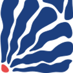 Seaweed