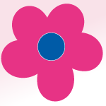 Flower Rosa