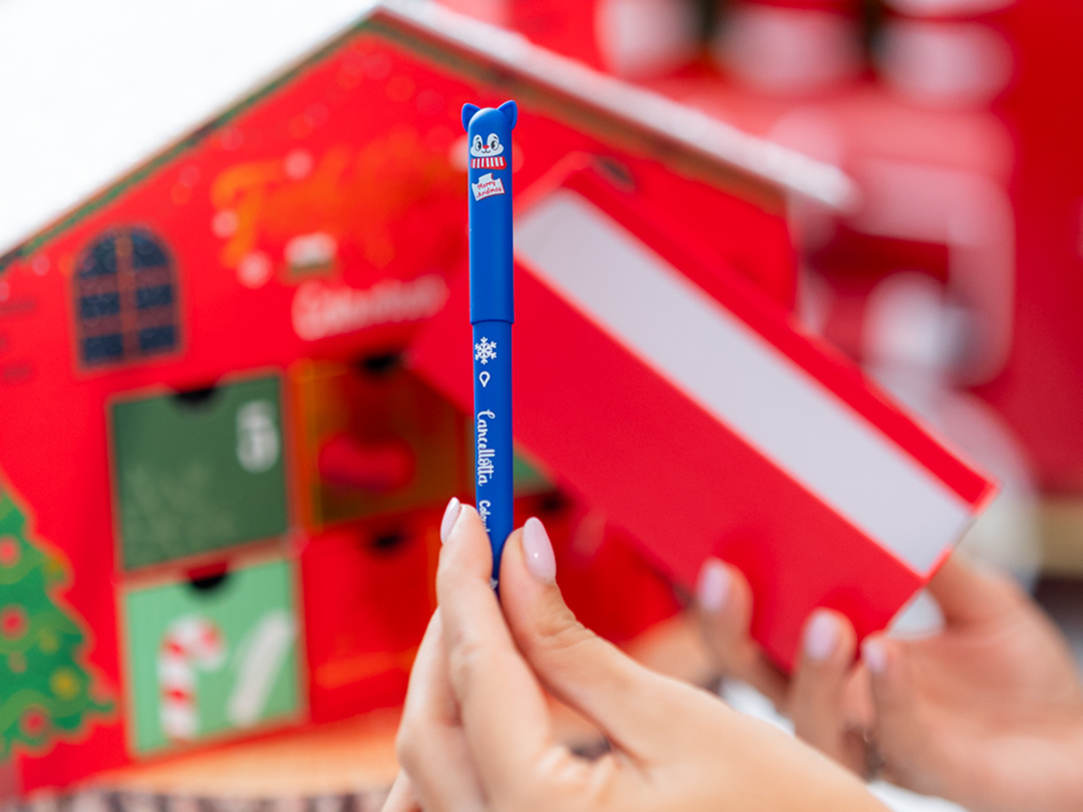 Cancellotta limited edition