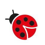 Coccinella