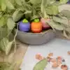 temperamatite-con-serbatoio-mini-veggie-ambientata