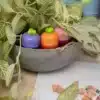 temperamatite-con-serbatoio-mini-veggie-arancione-ambientata