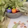 temperamatite-con-serbatoio-mini-veggie-frame-video